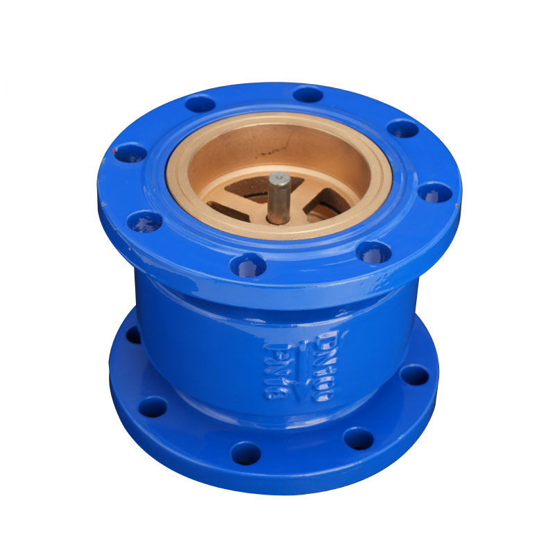 Clapet Anti-Retour Axial