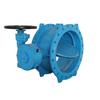 VANNE PAPILLON DOUBLE EXCENTRIQUE DN 500 PN 16 Image