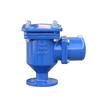 VENTOUSE TRIPLE FONCTION A BRIDE DN 65 PN 10/16 Image