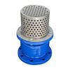 CREPINE AVEC CLAPET A BRIDE DN 150 PN 10/16 Image